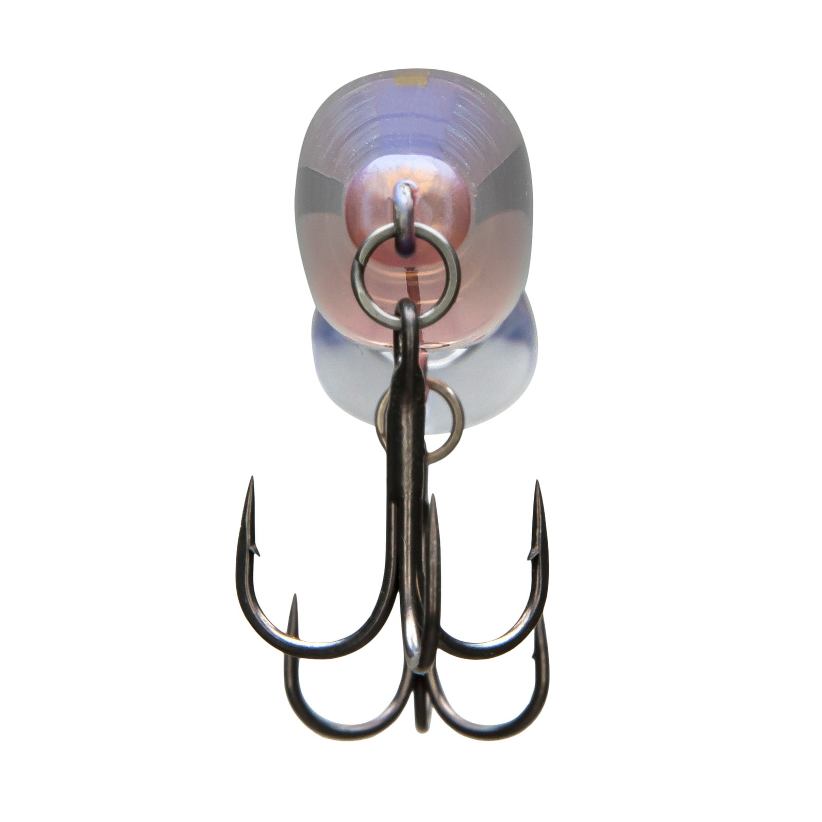 WORLD DIVER FLASH BOOST