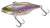 TN Disk Knocker