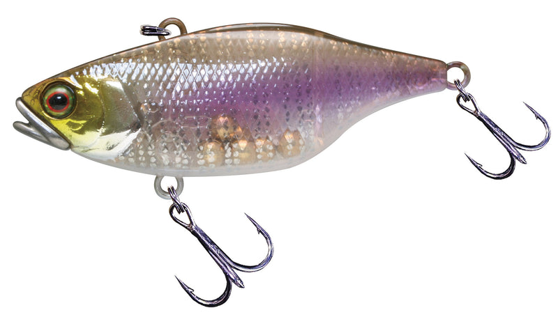 TN Disk Knocker