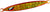 OCEA STINGER BUTTERFLY SARDINE WAVER