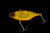 TN Disk Knocker