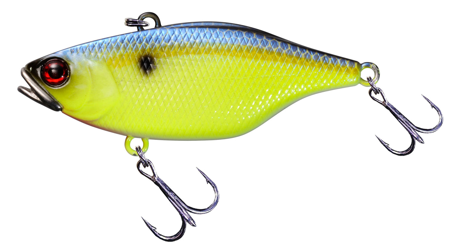 TN Disk Knocker