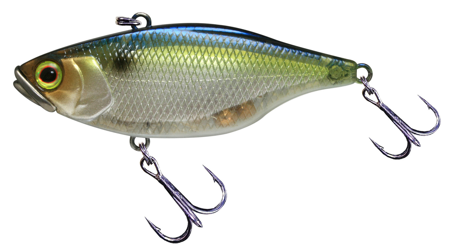 TN Disk Knocker